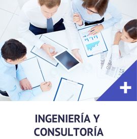 Ingeniería y consultoría