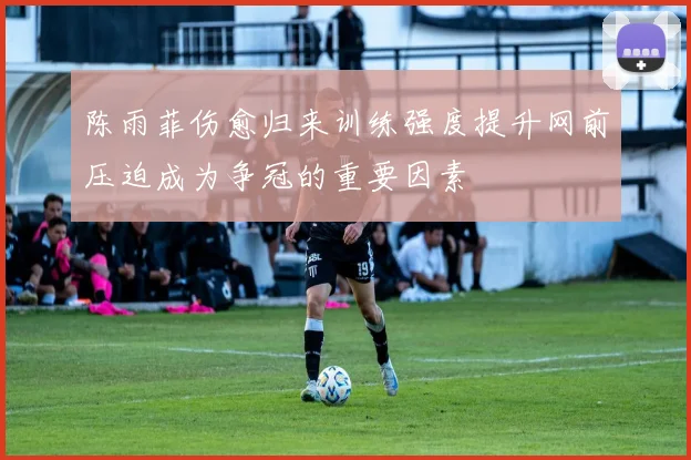 陈雨菲伤愈归来训练强度提升网前压迫成为争冠的重要因素